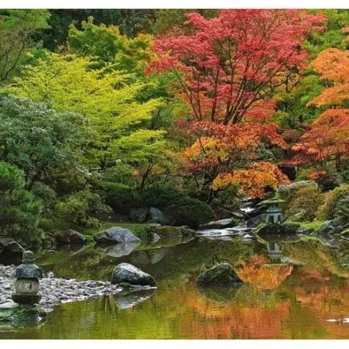 Heye Puzzle- Zen Reflection