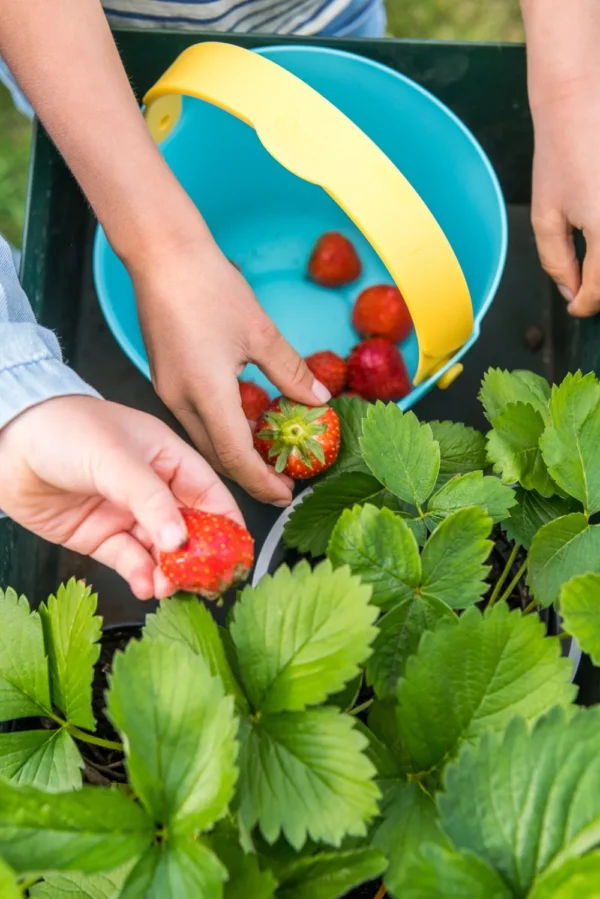 Quut- Bucki homokozó vödör, lagúna kék, sárga