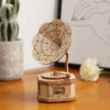 3D Modell Gramofon